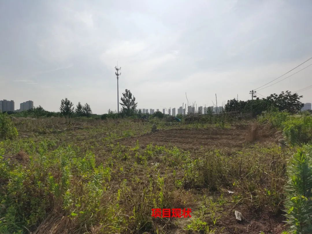cca519bd2877e84d758efcb54a6c9852 7.jpg