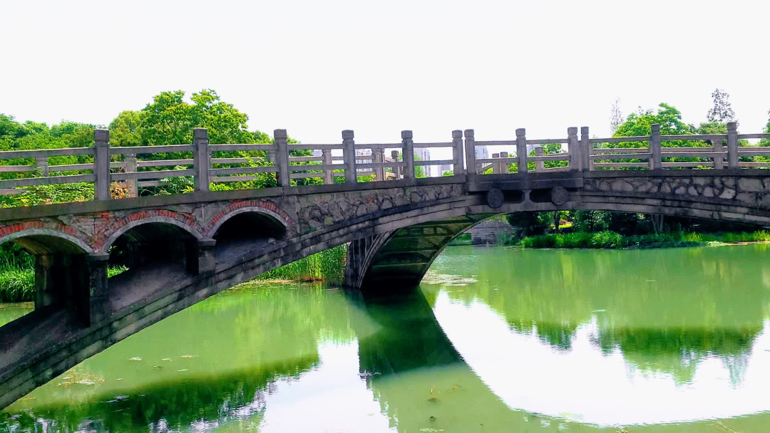 71019a6713ed630075d7ee56cbc4e223 3.png