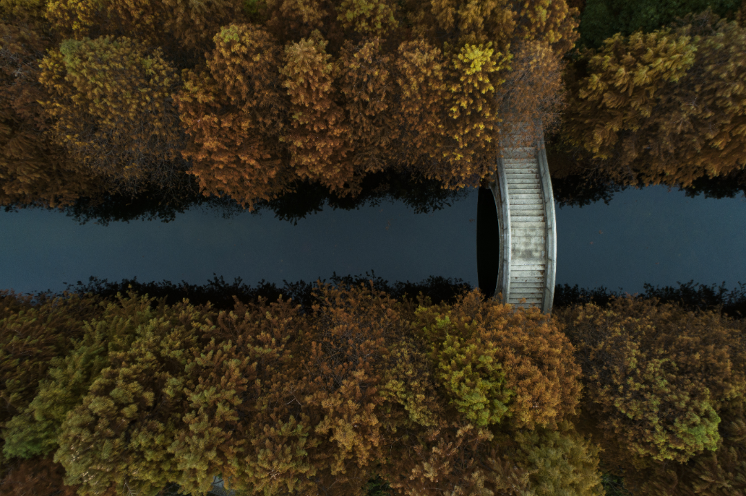 1a52864962f84a0f52fe63f241b4af59 2.png