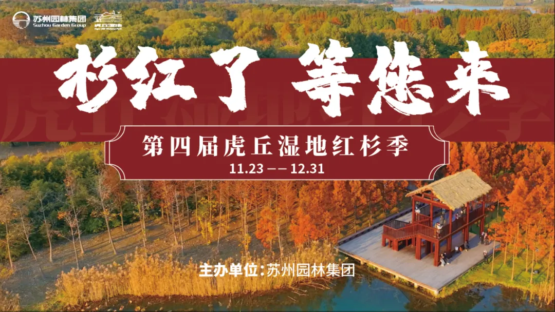 8b816ee38cf0d2482a71fdf8914bdde6 11.jpg