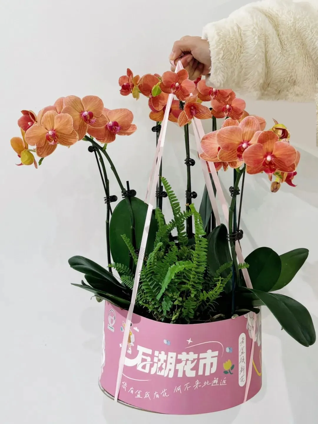 238e566cd3a21e12cb5eccdc2141589c 27.jpg
