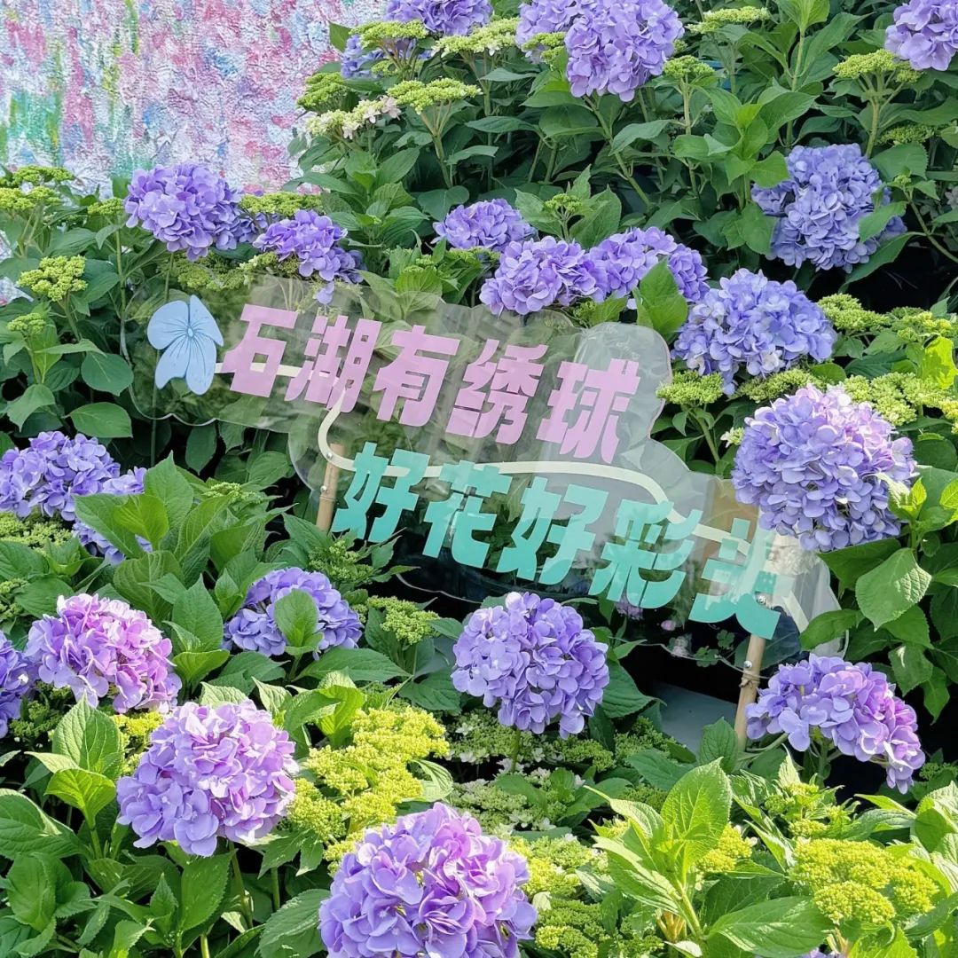 74a008008738d1a3d89ee12958da859f 640-3.jpeg