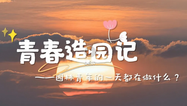 d36d971473fa922e5c1ee07a12db7d22