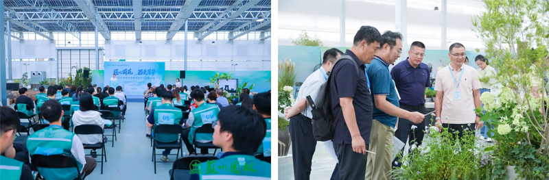 d95888eadedc202460cb6753966a7b9c 未标题-3_01.png